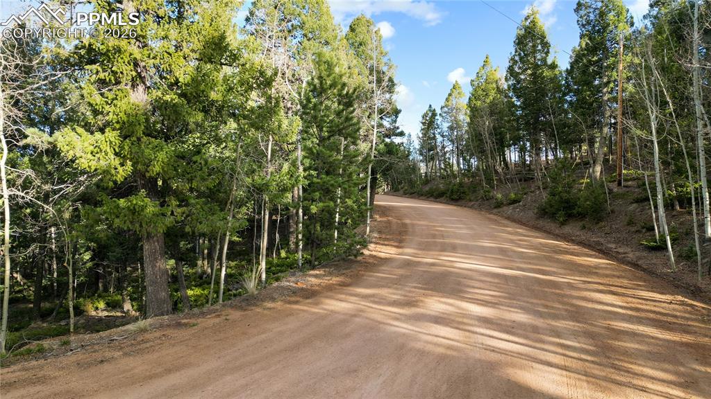68 Yale Place Woodland Park CO 80863