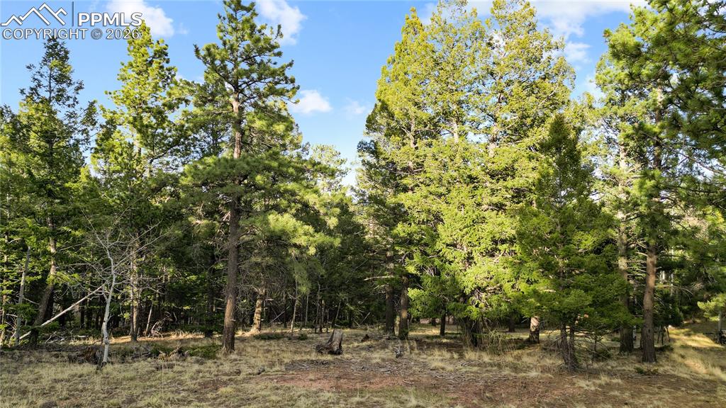 68 Yale Place Woodland Park CO 80863