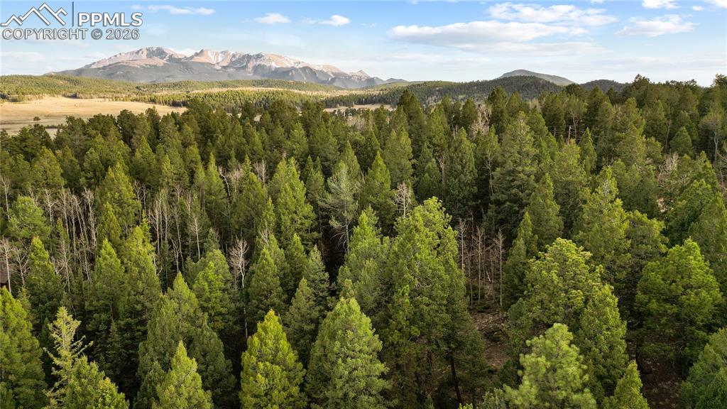 68 Yale Place Woodland Park CO 80863