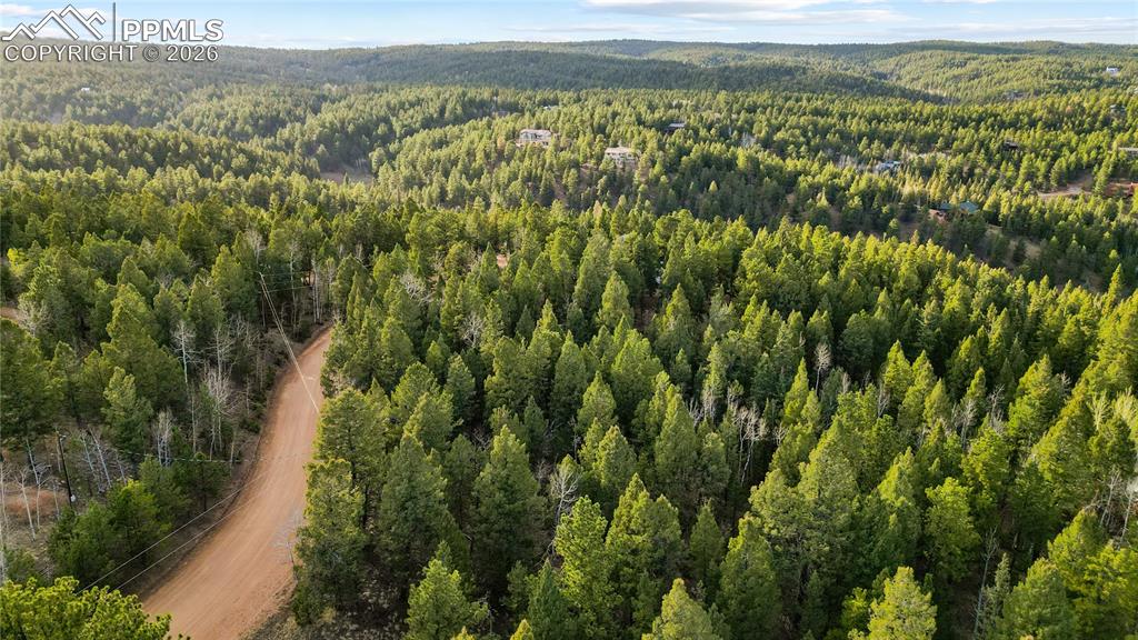 68 Yale Place Woodland Park CO 80863