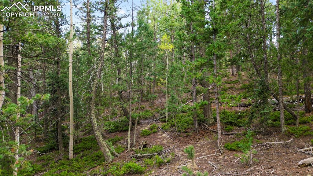 68 Yale Place Woodland Park CO 80863