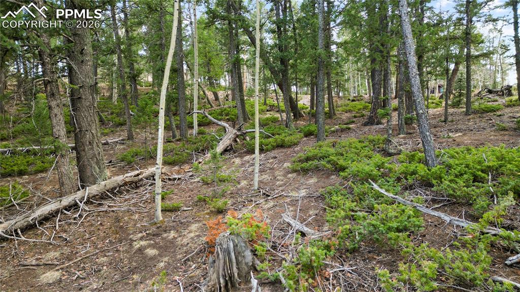 68 Yale Place Woodland Park CO 80863