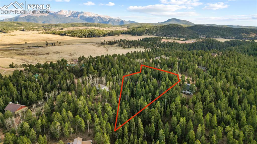 68 Yale Place Woodland Park CO 80863