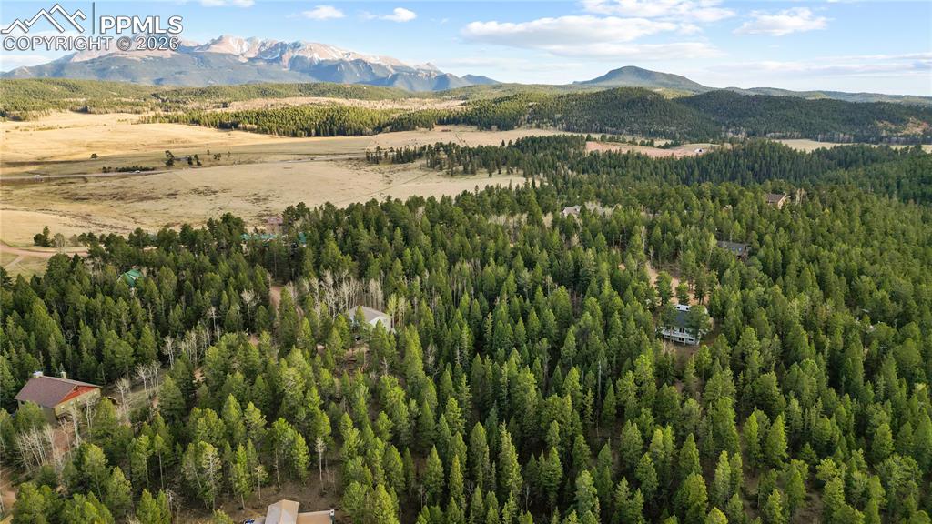 68 Yale Place Woodland Park CO 80863