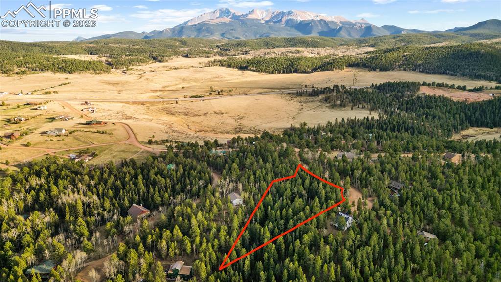 68 Yale Place Woodland Park CO 80863