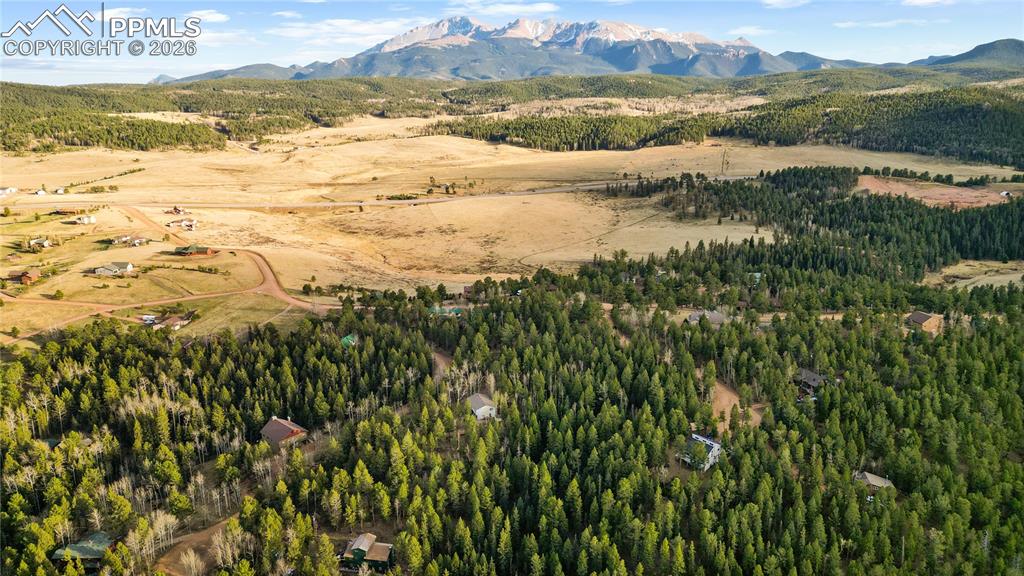 68 Yale Place Woodland Park CO 80863
