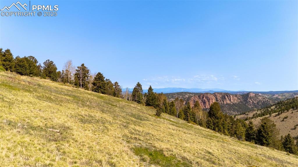 Conley Ranch Road Cripple Creek CO 80813