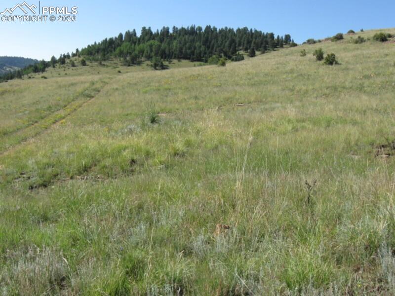 Lot 1-2 Shideler Avenue Cripple Creek CO 80813