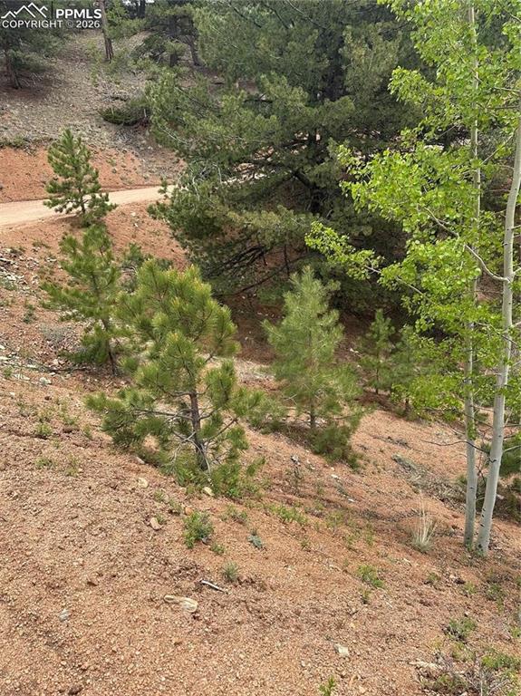 1600 Pikes Peak Drive Divide CO 80814
