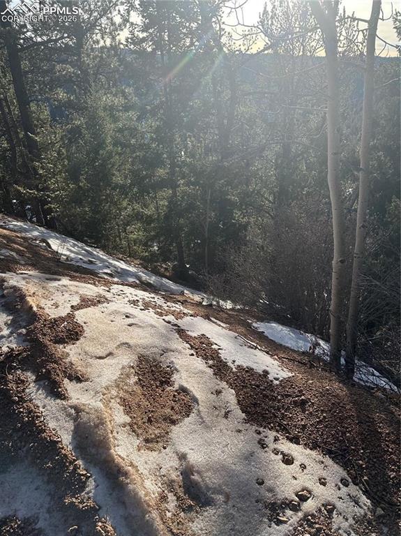 1600 Pikes Peak Drive Divide CO 80814