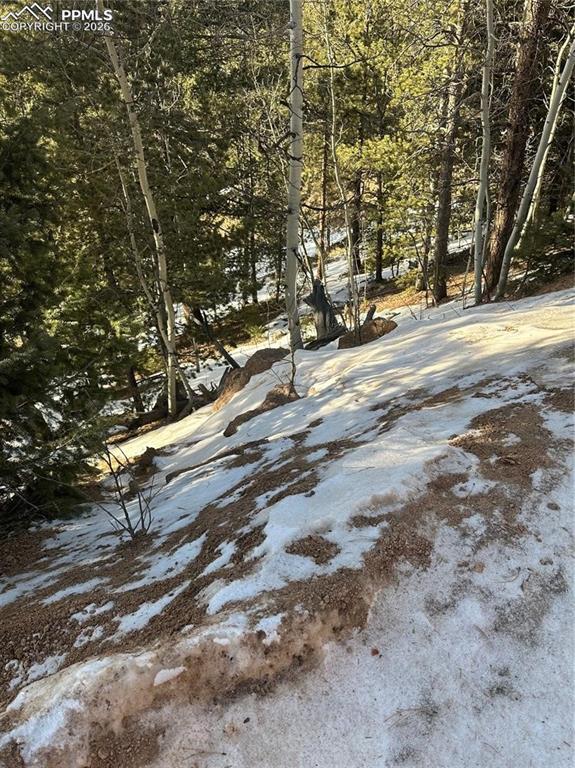 1600 Pikes Peak Drive Divide CO 80814