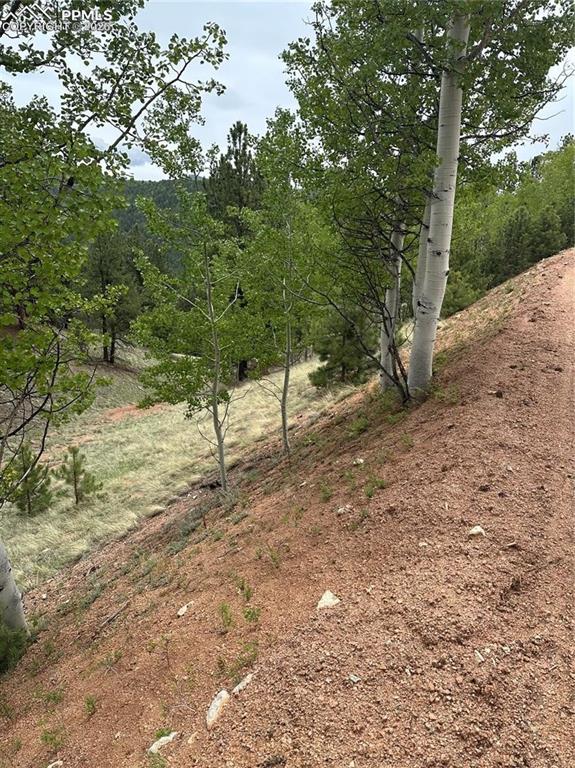 1600 Pikes Peak Drive Divide CO 80814