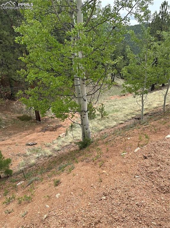 1600 Pikes Peak Drive Divide CO 80814