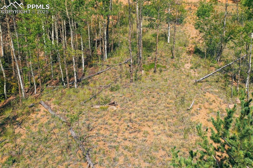 1300 Golden Cycle Circle Cripple Creek CO 80813