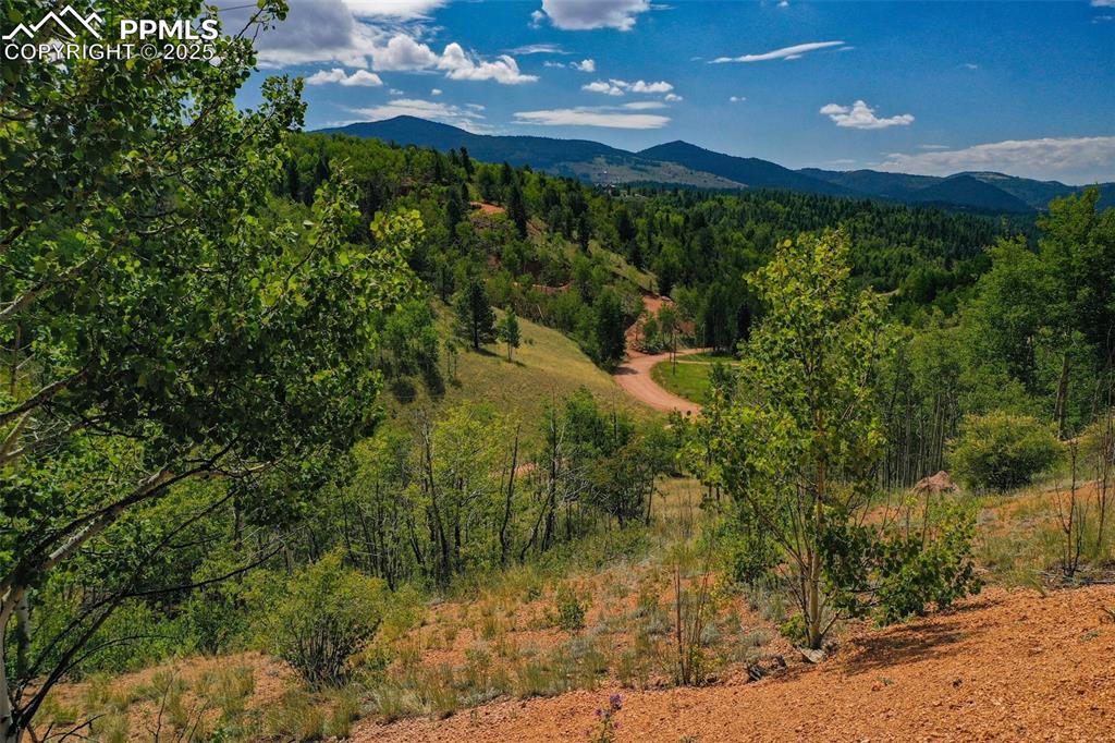 1300 Golden Cycle Circle Cripple Creek CO 80813