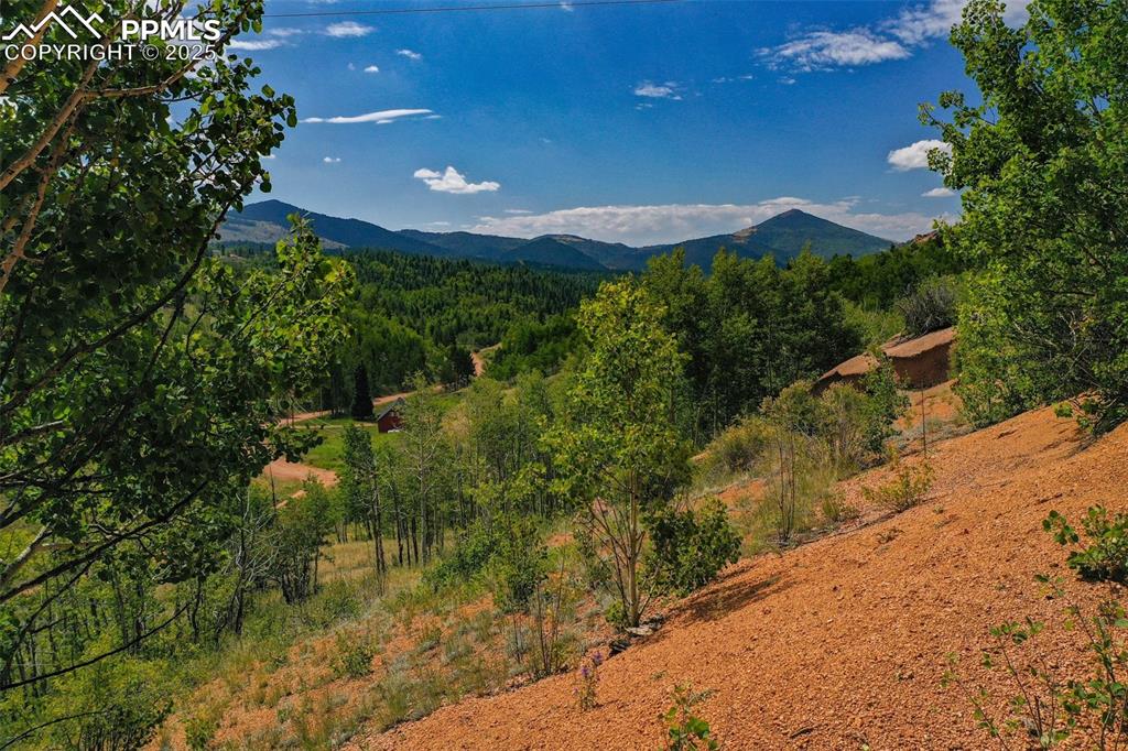 1300 Golden Cycle Circle Cripple Creek CO 80813