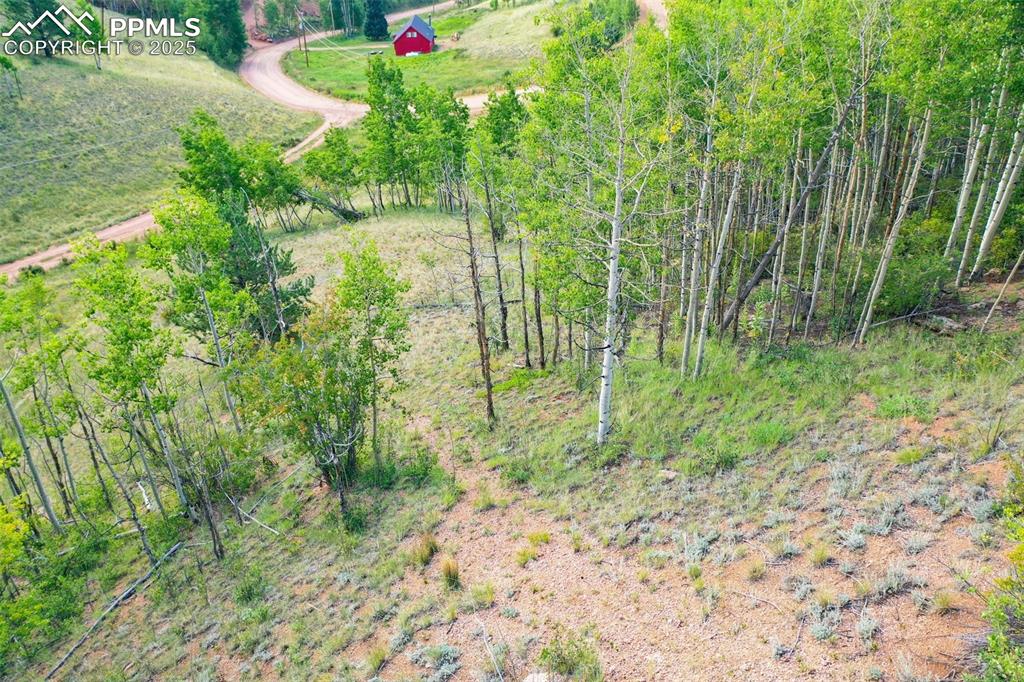 1300 Golden Cycle Circle Cripple Creek CO 80813