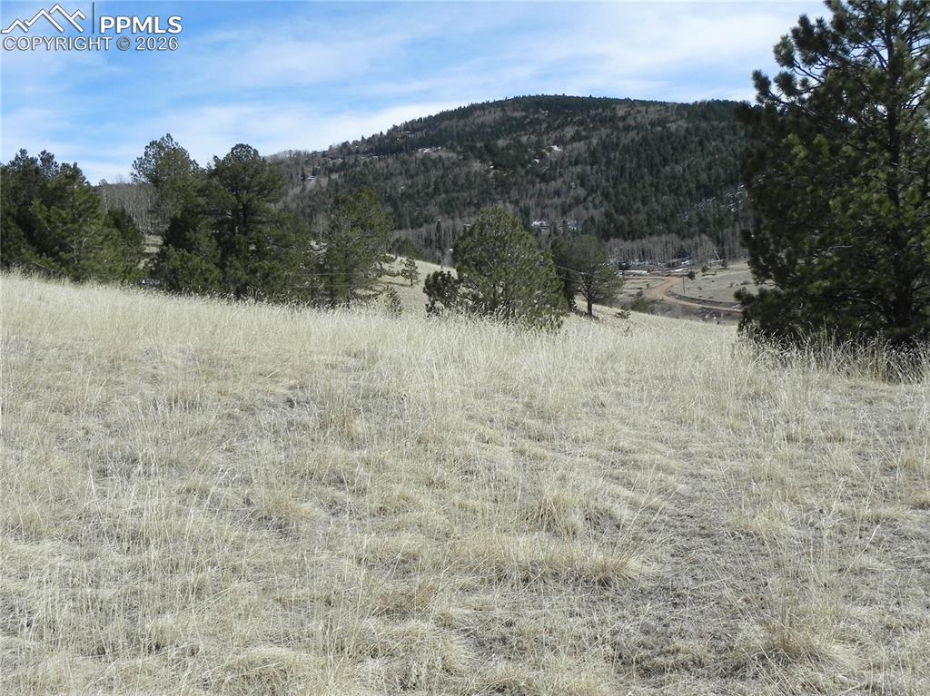 1087 Monarch Drive Cripple Creek CO 80813