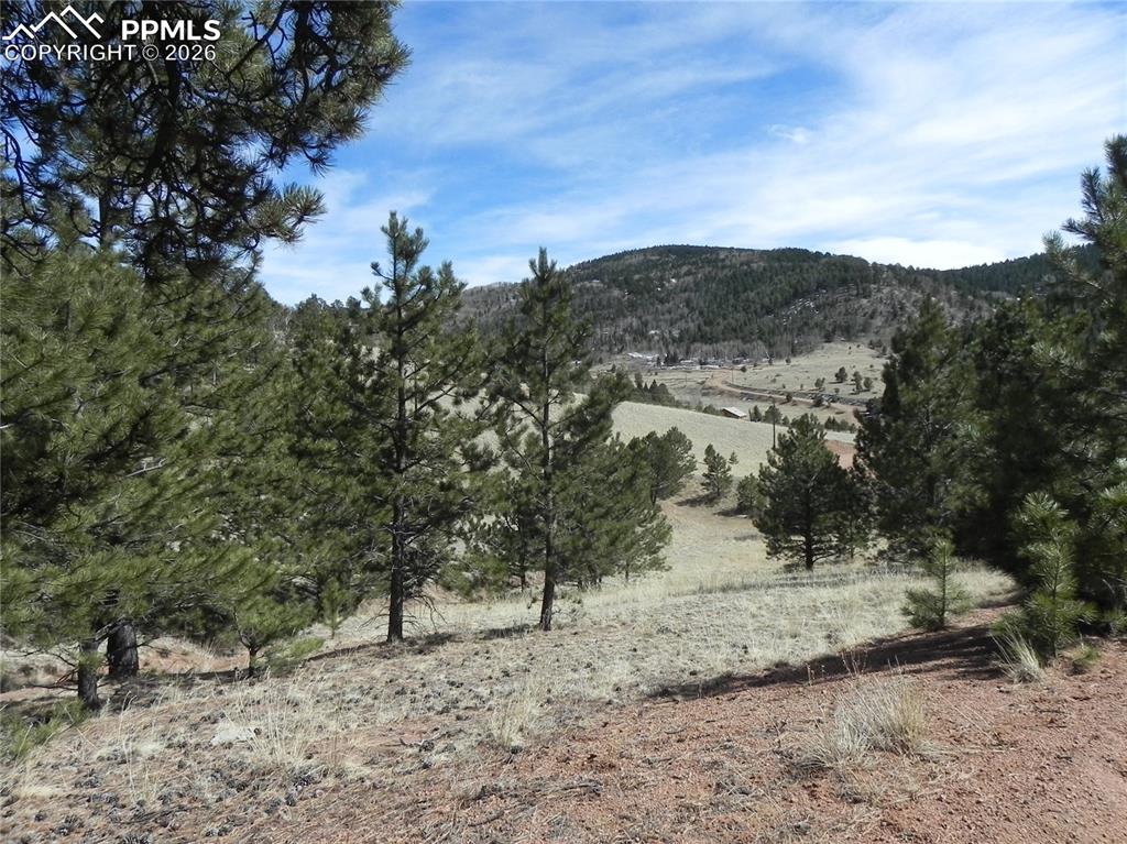 1087 Monarch Drive Cripple Creek CO 80813