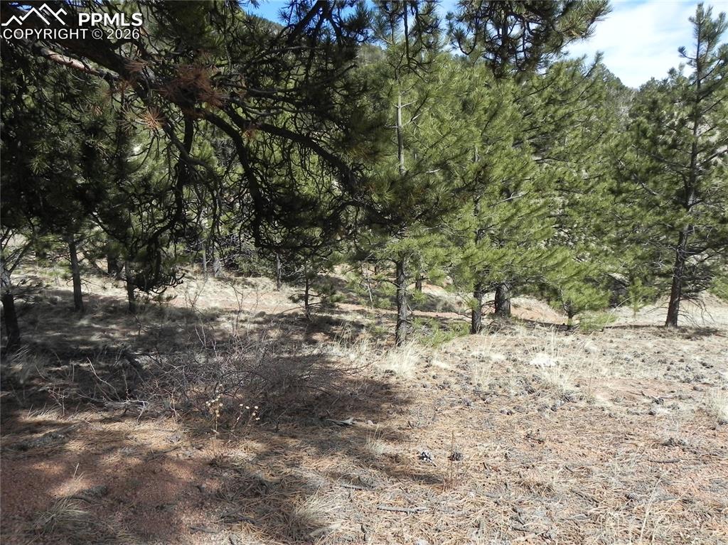 1087 Monarch Drive Cripple Creek CO 80813