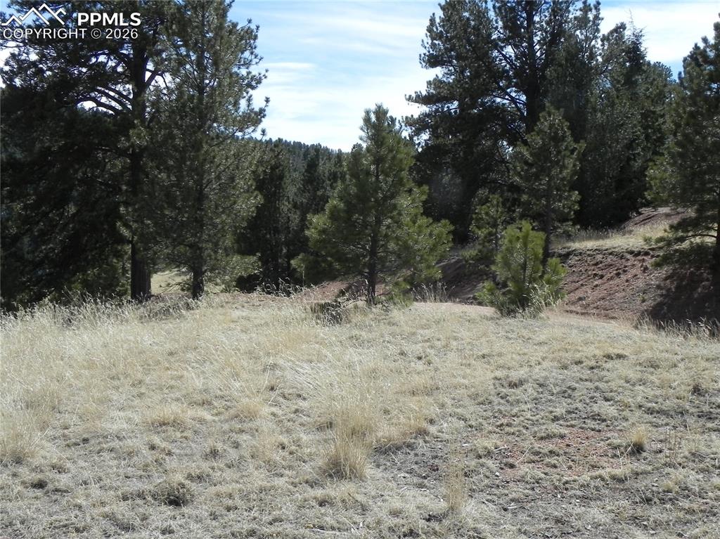 1087 Monarch Drive Cripple Creek CO 80813