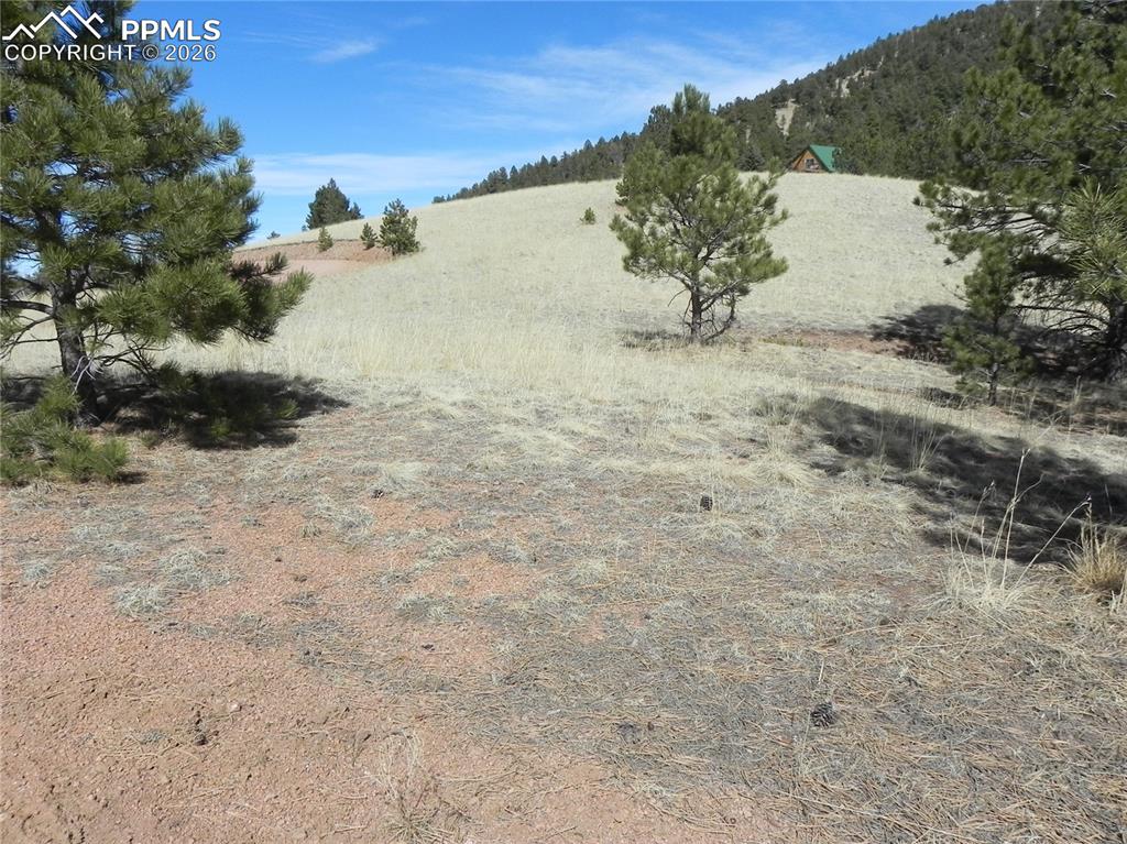 1087 Monarch Drive Cripple Creek CO 80813