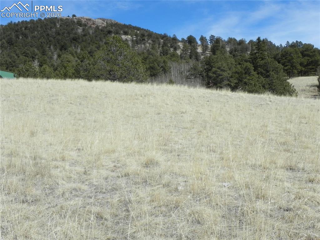 1087 Monarch Drive Cripple Creek CO 80813