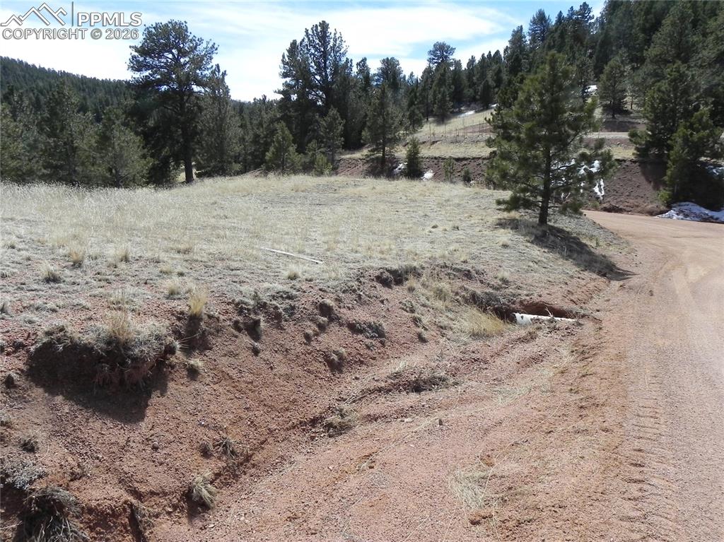 1087 Monarch Drive Cripple Creek CO 80813
