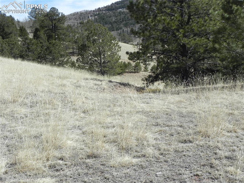 1087 Monarch Drive Cripple Creek CO 80813