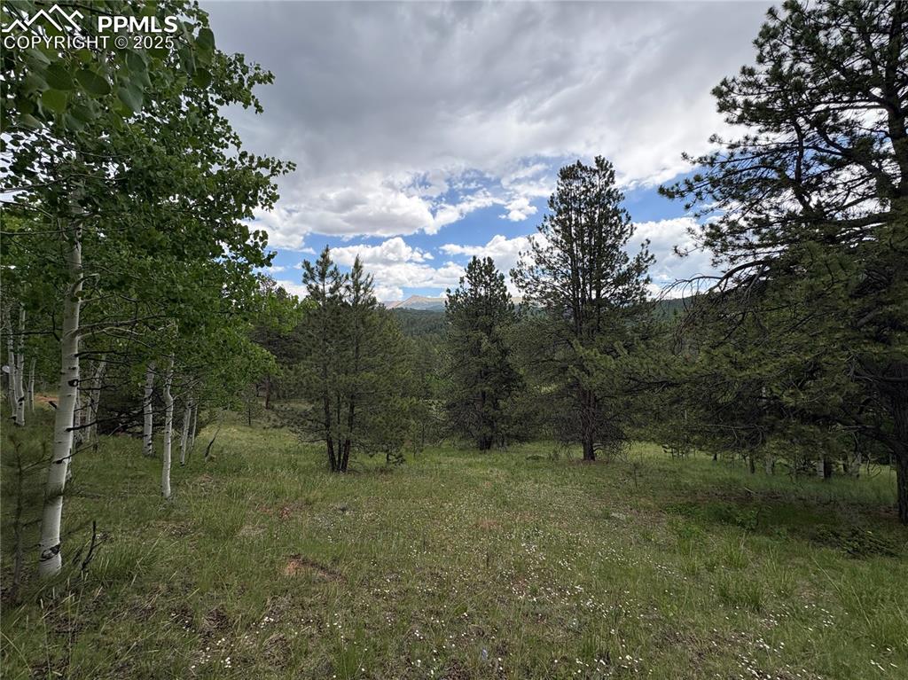 532 May Queen Drive Cripple Creek CO 80813
