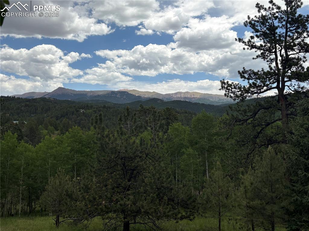 532 May Queen Drive Cripple Creek CO 80813