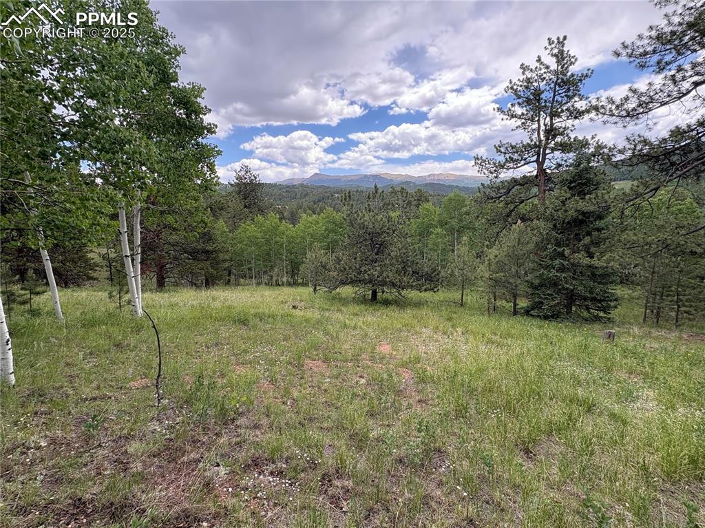 532 May Queen Drive Cripple Creek CO 80813