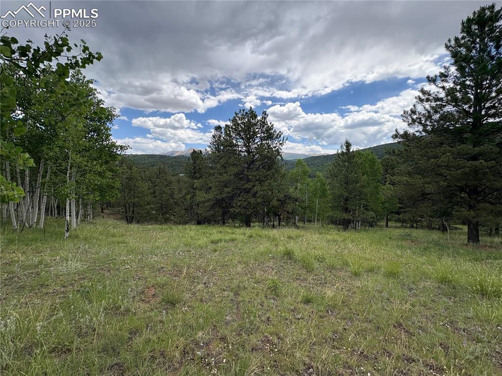532 May Queen Drive Cripple Creek CO 80813