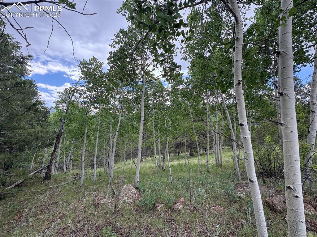 532 May Queen Drive Cripple Creek CO 80813