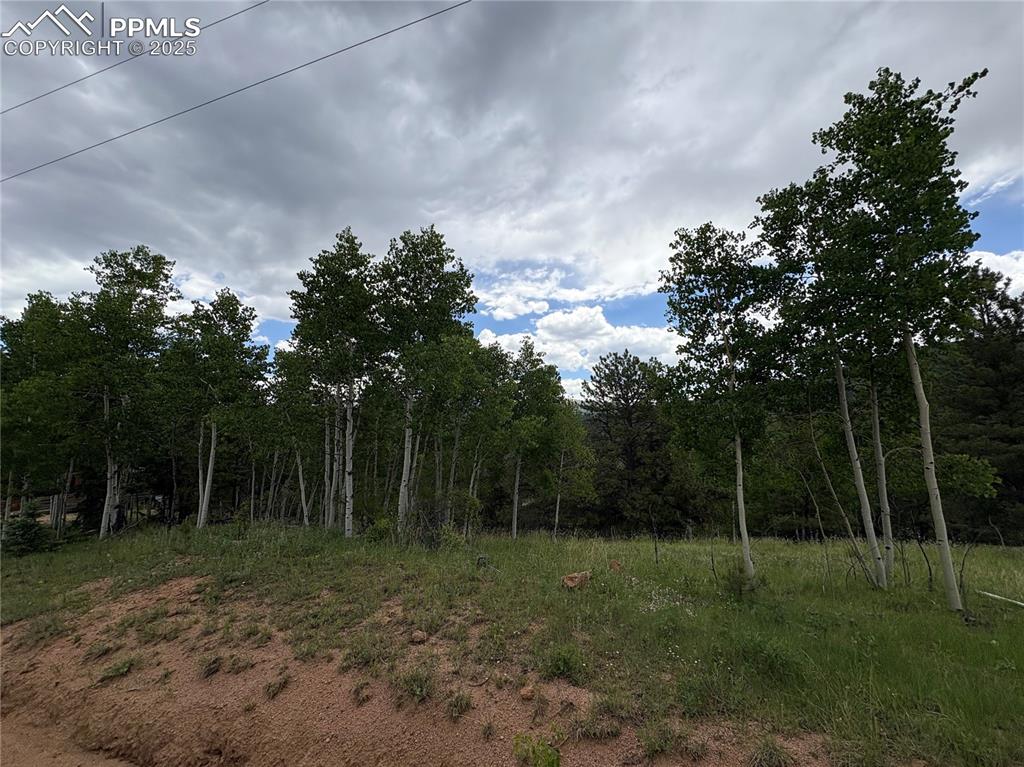 532 May Queen Drive Cripple Creek CO 80813
