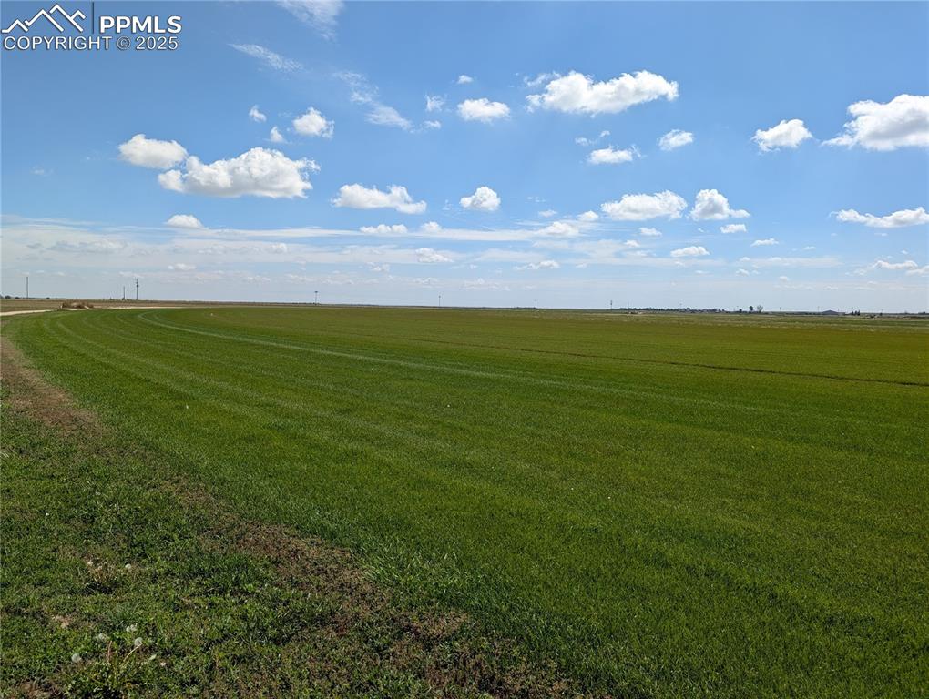 23500 County Road 5 Rush CO 80833
