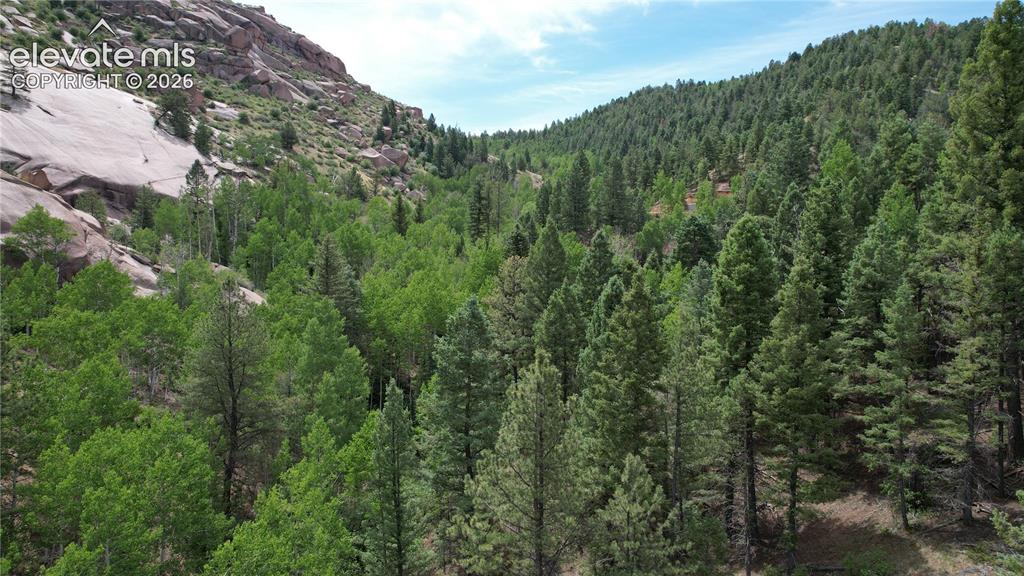 0 Unknown Cripple Creek CO 80813