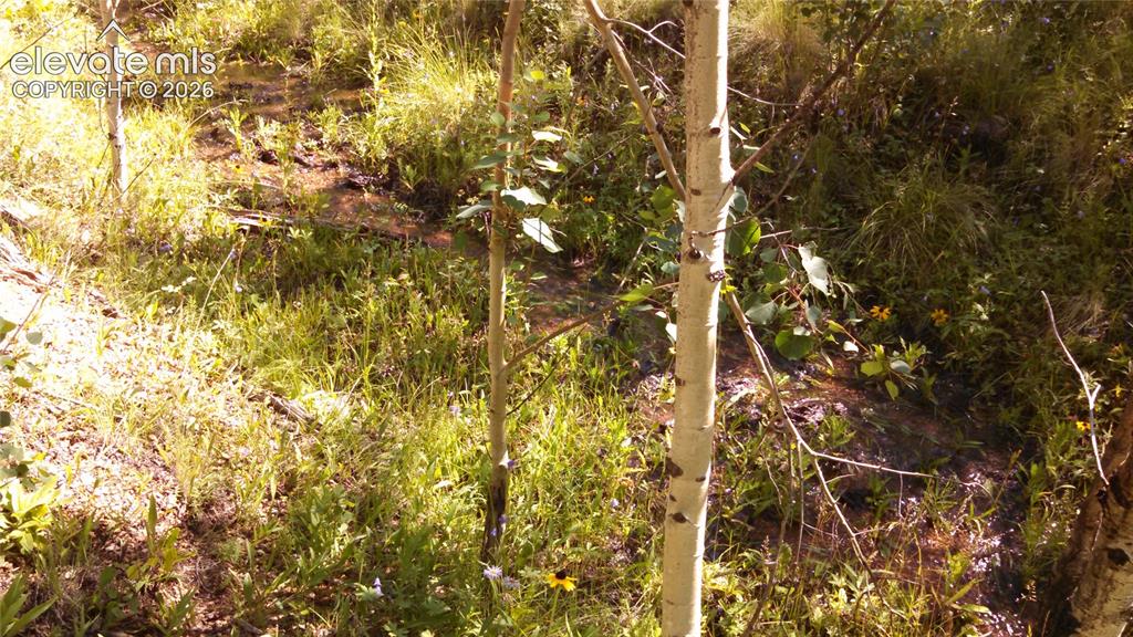 0 Unknown Cripple Creek CO 80813