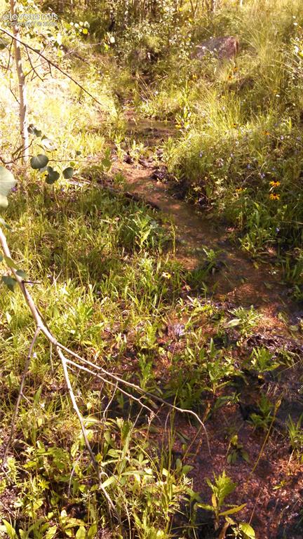 0 Unknown Cripple Creek CO 80813