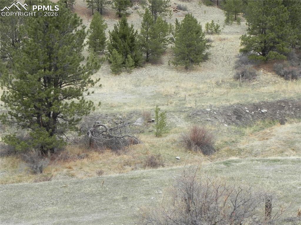 521 Monarch Drive Cripple Creek CO 80813