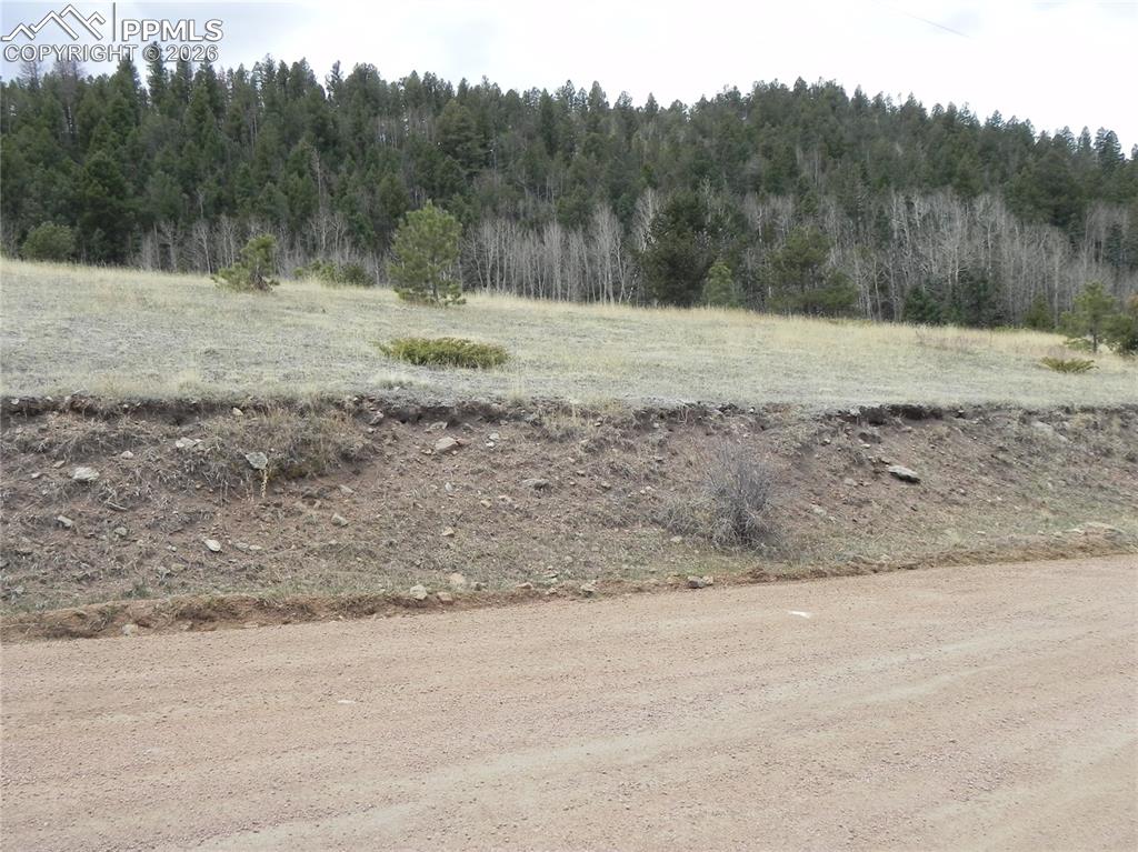 521 Monarch Drive Cripple Creek CO 80813