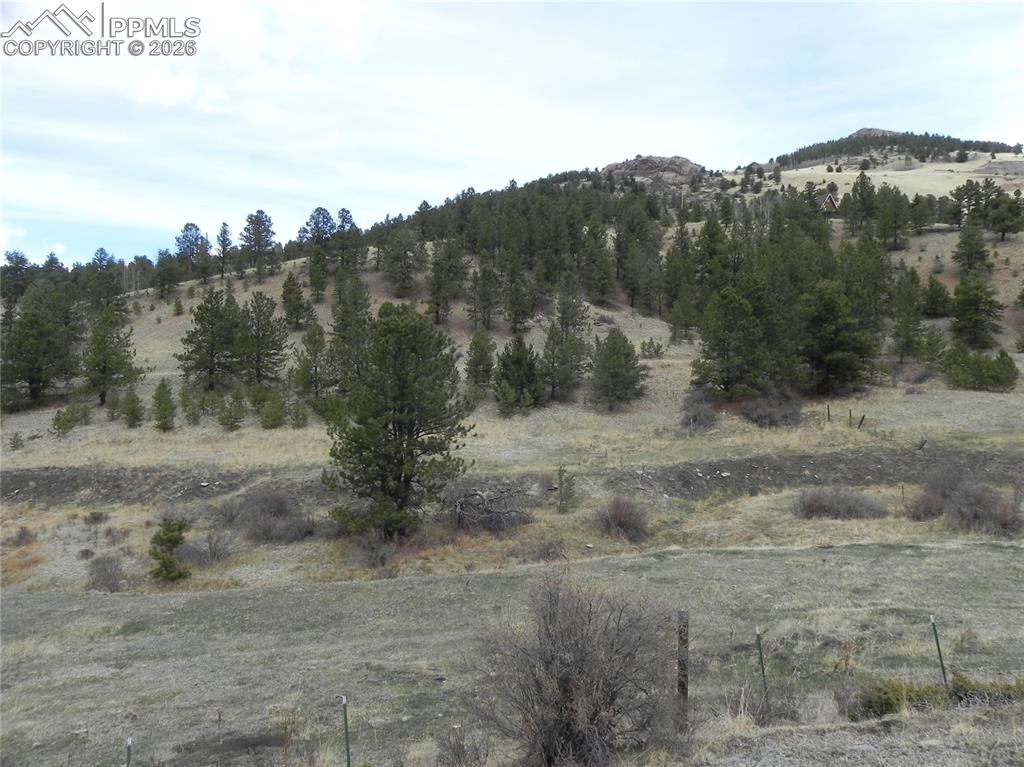 521 Monarch Drive Cripple Creek CO 80813