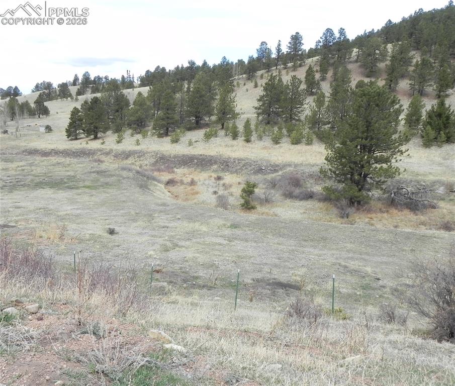 521 Monarch Drive Cripple Creek CO 80813
