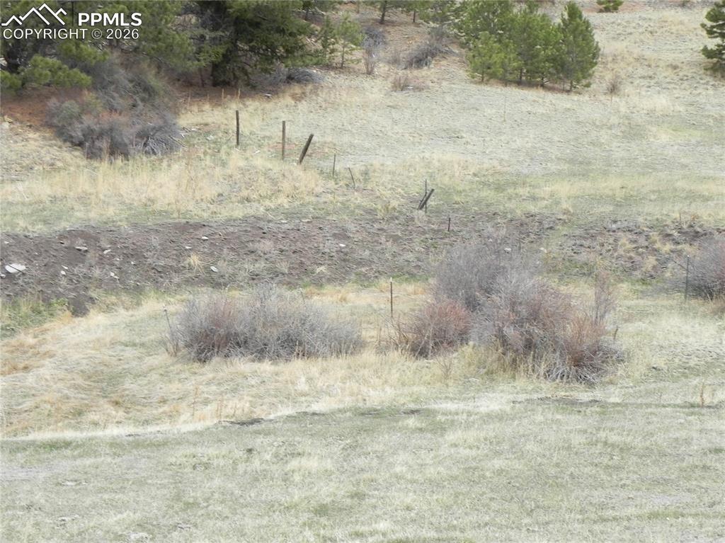 521 Monarch Drive Cripple Creek CO 80813