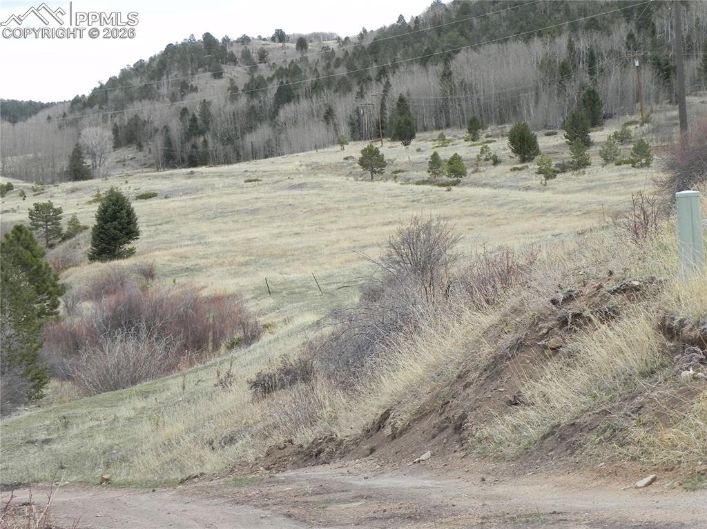521 Monarch Drive Cripple Creek CO 80813