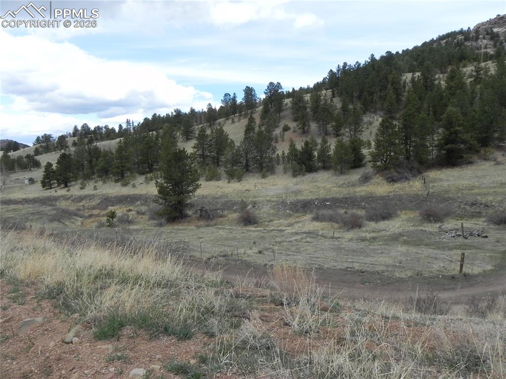 521 Monarch Drive Cripple Creek CO 80813