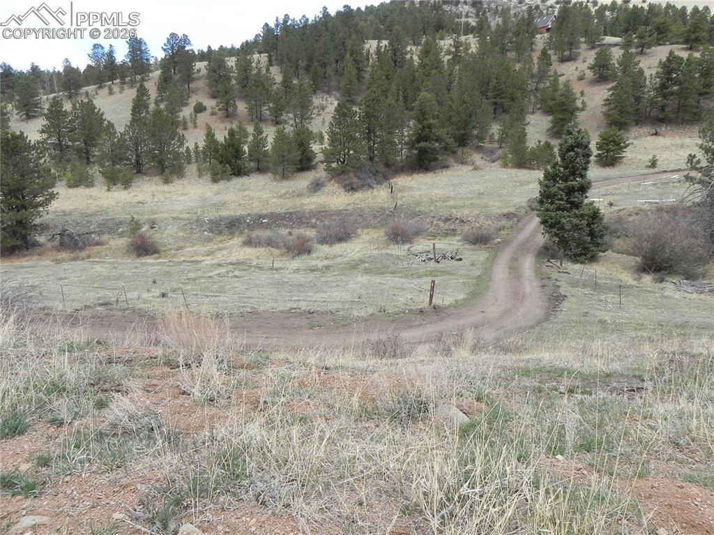 521 Monarch Drive Cripple Creek CO 80813