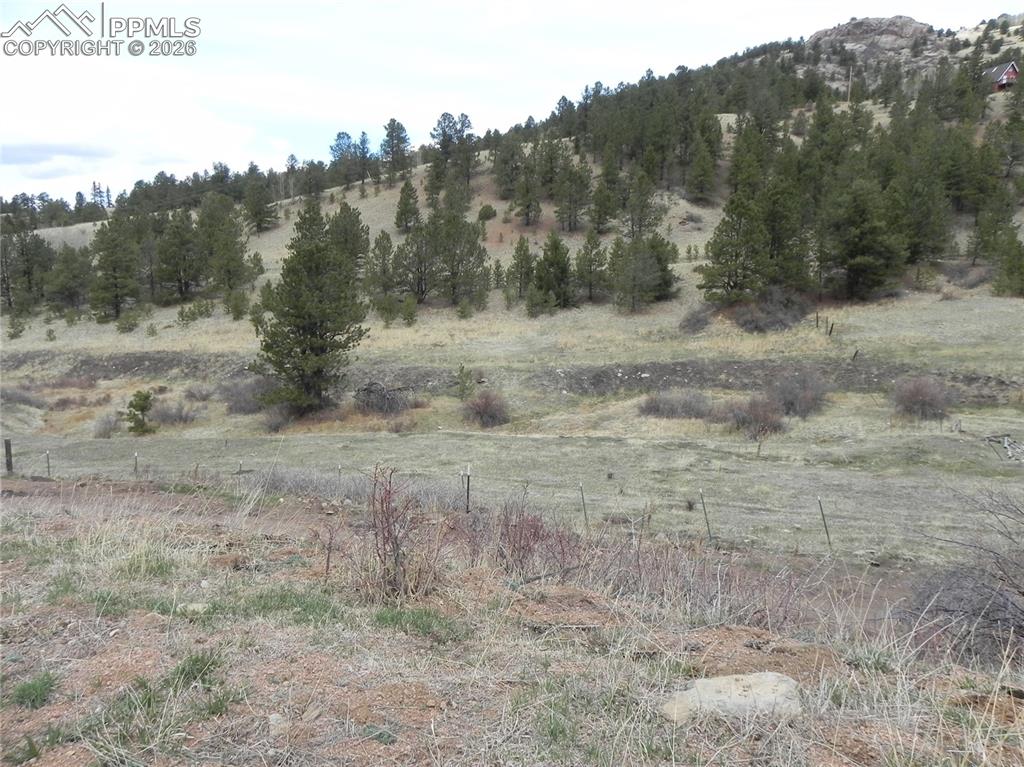 521 Monarch Drive Cripple Creek CO 80813