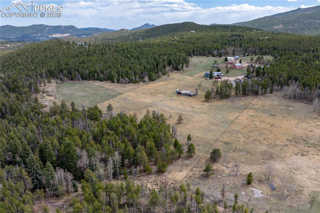 31511 Shadow Mountain Drive Conifer CO 80433