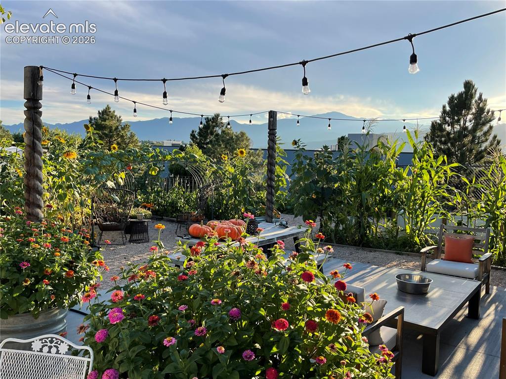 1911 Copley Road Colorado Springs CO 80920